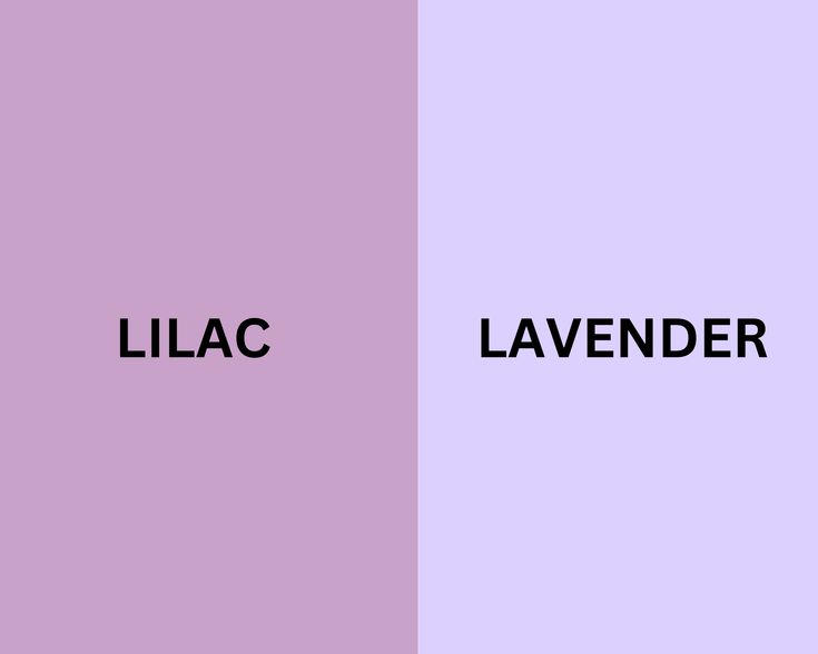 The Ultimate Guide to Lilac vs Lavender